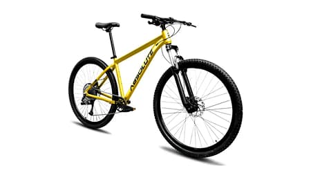 Bicicleta Urbana