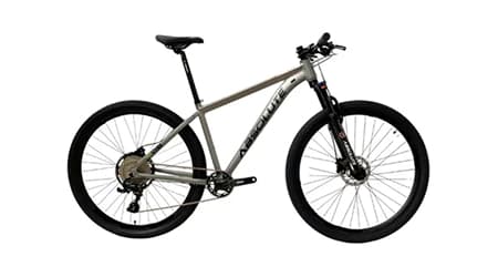 Bicicleta Absolute Nero 5 29 12v cinza